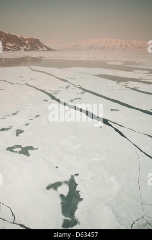 Flocons de glace en Billefjorden à Monte Carlo, région, la Norvège. Banque D'Images