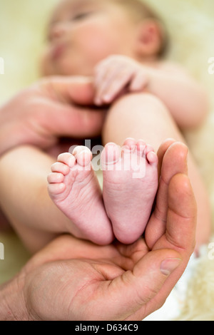 Père main tenant les petits pieds du bébé Banque D'Images