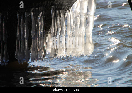 Une superbe photographie de stalactites gelées suspendues à une falaise au-dessus du Danube, créant une scène hivernale saisissante. Les formations de glace ajoutent une touche magique au paysage naturel. Banque D'Images