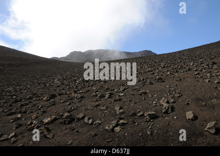 Paysage lunaire vue depuis le sentier des sables bitumineux dans la réserve intégrale de Haleakala National Park sur l'île de Maui. Banque D'Images