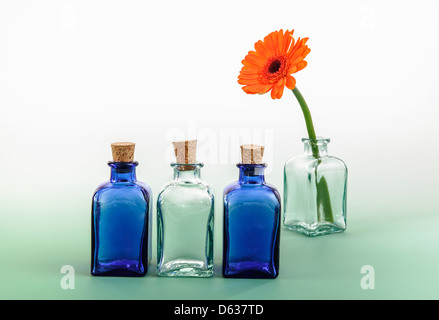Mini bouteilles en verre de couleur et de fleurs Banque D'Images