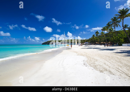 Dickinson bay et sandales Grand Hôtel Antigua, Antigua, Caraïbes, Antilles Banque D'Images