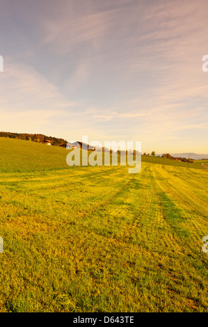 Prairies en pente Banque D'Images