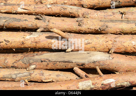 billes en bois Banque D'Images