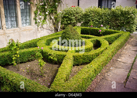 Petit jardin à l'avant avec boîte géométrique, chevrons parterre Banque D'Images