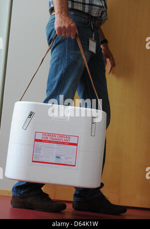 (ILLUSTRATION) Un organe boîte de transport est effectué dans les bureaux de la Fondation Transplantation d'Allemand (DSO) à Berlin, Allemagne, le 29 mai 2012. Photo : Jens Kalaene Banque D'Images