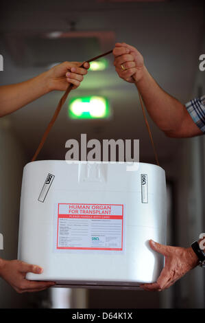 (ILLUSTRATION) Un organe boîte de transport est effectué dans les bureaux de la Fondation Transplantation d'Allemand (DSO) à Berlin, Allemagne, le 29 mai 2012. Photo : Jens Kalaene Banque D'Images
