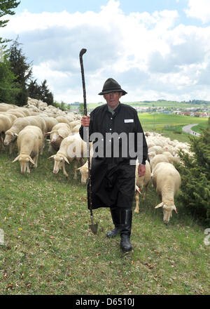 Gerhard Berger Stotz mène son troupeau de moutons dans un pré sur son chemin à un pâturage à Muensingen, Allemagne, 13 mai 2012. Les brebis passent l'été sur un pâturage de cèdre dans la biosphère Alb Schwaebische habitat, un ancien terrain d'entraînement militaire. Photo : Stefan Udry Banque D'Images