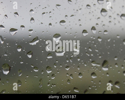 Des gouttes de pluie sont vues sur une vitre après une tempête de pluie. Les gouttelettes d'eau réfléchissent la lumière, créant une scène naturelle et apaisante. Cette image capture la fraîcheur de la nature après la pluie. Banque D'Images