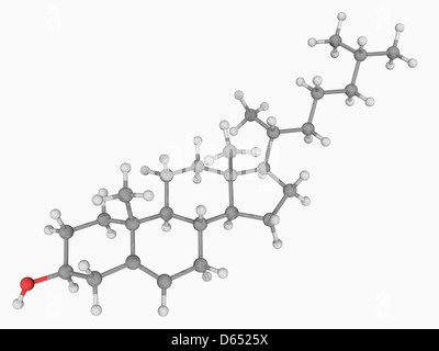 Molécule de cholestérol Banque D'Images