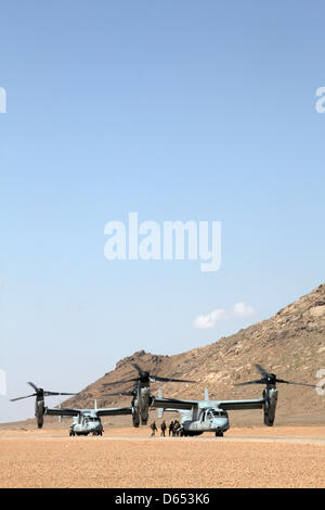 US Marine Corps MV-22B Osprey avion avec l'escadron 264 à rotors basculants moyen Marine board une opération militaire conjointe d'entre nous, les Britanniques et les forces afghanes le 11 avril 2013 dans la province d'Helmand, en Afghanistan. Banque D'Images