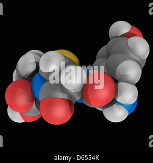 L'amoxicilline molécule pharmaceutique Banque D'Images