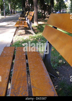 Une scène paisible de fin d'été avec des bancs de parc dans un cadre extérieur calme. Les bancs sont disposés dans un parc spacieux, entouré de verdure et la lumière du soleil s'estompe dans la soirée. Banque D'Images