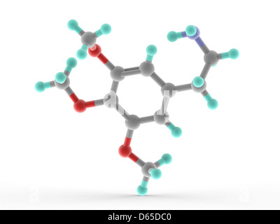 La Mescaline molécule pharmaceutique Banque D'Images