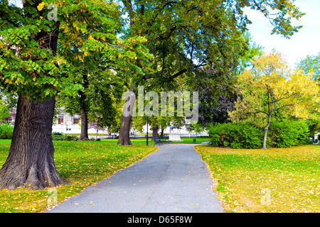 Alley in autumn park Banque D'Images