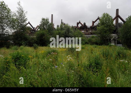 Le "paradis" fait partie du patrimoine mondial 'Alte Voelklinger Huette' est représenté à Völklingen, Allemagne, 20 juin 2012. Cette partie a été conçu par l'architecte germano-suisse Comtesse Catherina Bernadotte af (de) Wiesborg. Photo : Becker&Bredel Banque D'Images