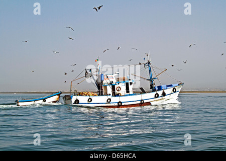 Bateau de pêche de retour au port d'accueil avec beaucoup de mouettes Banque D'Images