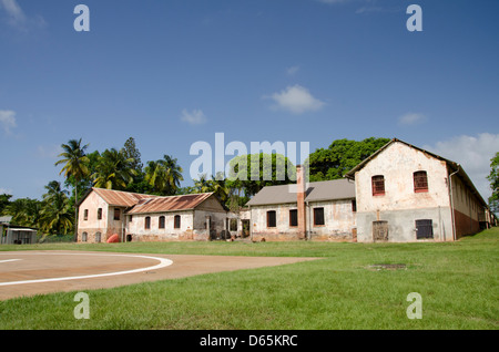 Territoire Français d'outre-mer, Guyane, îles du salut. L'île Royale, vieux bâtiments abandonnés. Banque D'Images