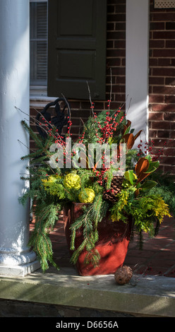 Réseau express régional, urbain Front Porch house w/ plantes. Banque D'Images