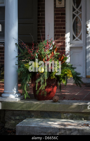 Réseau express régional, urbain Front Porch house w/ plantes. Banque D'Images