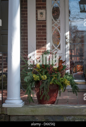 Réseau express régional, urbain Front Porch house w/ plantes. Banque D'Images