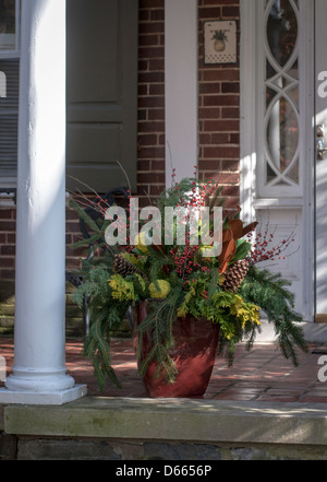 Réseau express régional, urbain Front Porch house w/ plantes. Banque D'Images