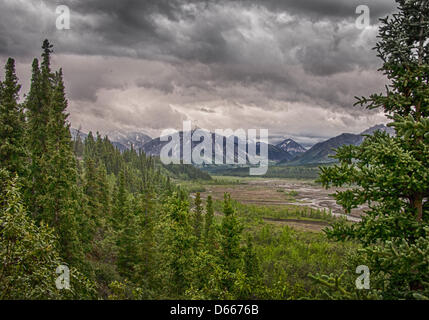 27 juin 2012 - Boroigh Denali, Alaska, États-Unis - La vallée glaciaire de sculpté à la Toklat, l'une des tresses les rivières qui traversent la forêt boréale et de la toundra du 6 million d'acres (24,500km) Parc National Denali et préserver. Chargé avec des débris de roche glaciaire et le ruissellement de la neige fondante, elles évoluent et s'entremêlent leurs chaînes sur la vallée et d' influence radicalement la topographie. Des montagnes escarpées de la chaîne de l'Alaska augmentation de la distance. (Crédit Image : © Arnold Drapkin/ZUMAPRESS.com) Banque D'Images