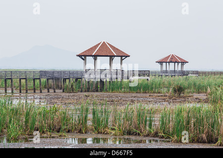 Pont de bois à Sam-Roy-Yod Nation, Prachuapkhirikhan Province,au sud de la Thaïlande Banque D'Images