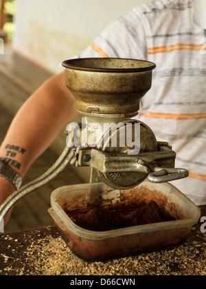 Le broyage du café fraîchement torréfié Banque D'Images