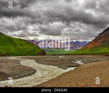 27 juin 2012 - L'Arrondissement de Denali, Alaska, États-Unis - nuages de tempête de recueillir plus de la vallée glaciaire de sculpté à la Toklat, l'un de la tresse de rivières à travers la forêt boréale et de la toundra du 6 million d'acres (24,500km) Parc National Denali et préserver. Chargé avec des débris de roche glaciaire et le ruissellement de la neige fondante, elles évoluent et s'entremêlent leurs chaînes sur la vallée et d' influence radicalement la topographie. Robuste, Multi-couleur de la montagnes polychromes de l'Alaska augmentation de la distance au-delà de l'Toklat River Bridge. (Crédit Image : © Arnold Drapkin/ZUMAPRESS.com) Banque D'Images