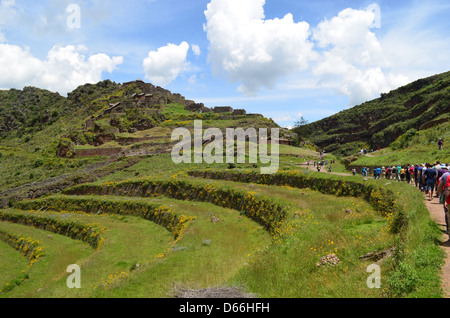 Les ruines Inca et terrasses à Pisac, Cusco, Pérou. Banque D'Images