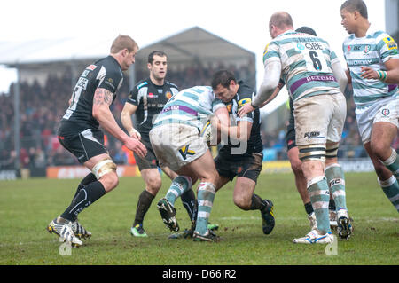 Exeter Chiefs attaquer fort au cours de l'Aviva Premiership match entre Exeter Chiefs & London Irish au Sandy Park Stadium, Exeter, Devon, UK, le 13 avril, 2013 Banque D'Images