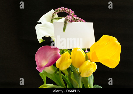 Beau bouquet de tulipes et de lis calla blancs sur fond noir Banque D'Images