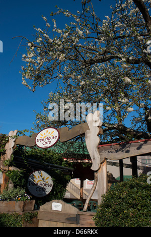 La célèbre maison de l'arbre dans l'île de Saltspring Ganges Cafe Canada Banque D'Images