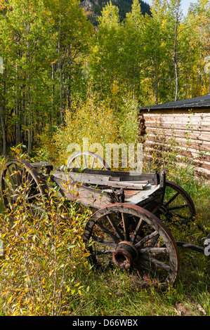 Buggy en face du bâtiment du musée, à l'automne feuillage, Vicksburg Ghost Town, Sawatch, montagnes du Colorado. Banque D'Images