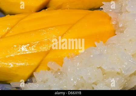 La mangue sucré avec du riz gluant, Thaï dessert. Banque D'Images