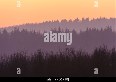 L'humeur du soir dans le solling, weserbergland, holzminden, Niedersachsen, Allemagne Banque D'Images