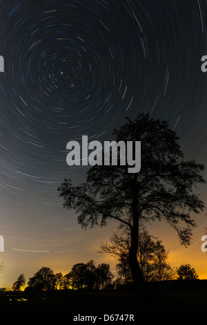 Ciel étoilé avec arbres, boller moor, diepholz district, Niedersachsen, Allemagne Banque D'Images