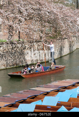 Cambridge, UK. 14 avril 2013. Les touristes profiter de soleil en barque sur la rivière Cam. La rivière était occupé par les touristes profitant de la journée la plus chaude de l'année avec des températures jusqu'à frapper 20 degrés centigrades. Le printemps est enfin arrivé après des semaines de temps froid et pluvieux. Julian Eales/Alamy Live News Banque D'Images