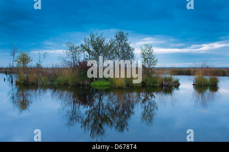 Diepholzer moorniederung goldenstedter moor,, Niedersachsen, Allemagne Banque D'Images