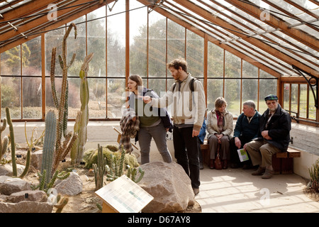 Les gens qui regardent des cactus dans l'intérieur de la serre, Cambridge University Botanic Garden, Cambridge Royaume-Uni Banque D'Images