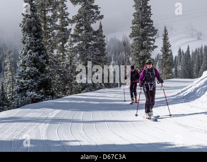 L'homme et de la femme de l'écorcher montée sur skis de randonnée alpine au Monarch Mountain, Continental Divide, Colorado, USA Banque D'Images