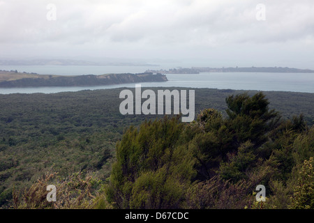 Une vue de l'île de Rangitoto sur l'île Nord de la Nouvelle-Zélande Banque D'Images