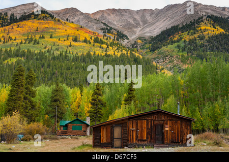 Cabine avec feuillage automne Winfield, ville fantôme, Sawatch, montagnes du Colorado. Banque D'Images