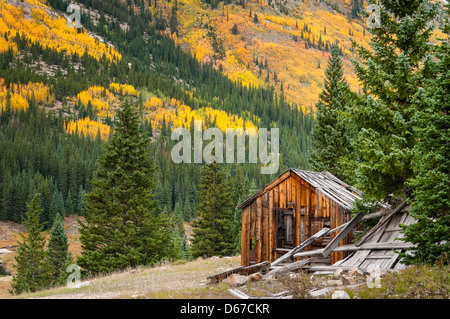 Mine de banquier est entouré de feuillage de l'automne, Sawatch Range, au Colorado. Banque D'Images