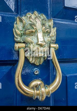 Lion laiton heurtoir de porte sur bleu Banque D'Images