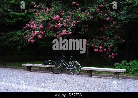 Une vue sereine de Kyoto, Japon, capturant la beauté traditionnelle de la ville. La photo montre la richesse historique et culturelle de Kyoto, connue pour ses temples, ses jardins et son architecture ancienne, sous un ciel paisible et clair. Banque D'Images