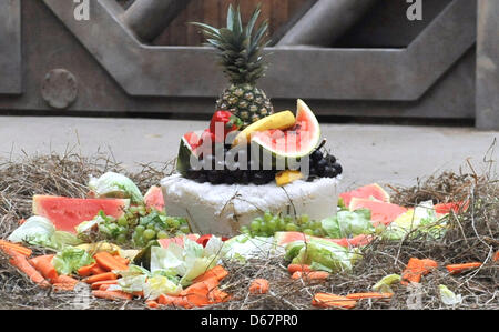 Zoo d'Ostrava, République tchèque. 13 avril 2013. Le jeune éléphant nommé Rashmi, acconpanied Johti par sa mère, a célébré son deuxième anniversaire le 12 avril au zoo, la célébration a eu lieu le 13 avril 2013. (Photo/CTK Jaroslav Ozana/Alamy Live News) Banque D'Images