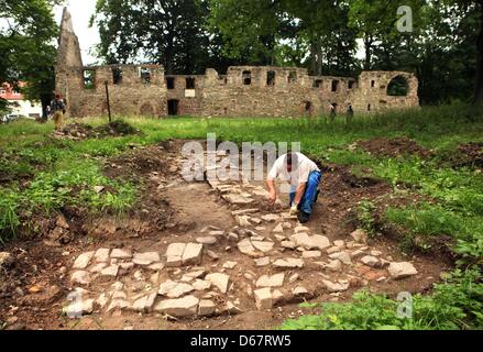 Assistant d'excavation Joerg Dittrich expose des vestiges de l'église du monastère (Klosterkirche Nimbschen Nimbschen) près de Grimma, Allemagne, 27 juin 2012. Au cours de deux mois de fouilles sur l'emplacement des ruines du monastère, ses fondements ainsi qu'un bénitier fait à partir de Rochlitz Porphyr ont été découvertes. Une fois le monastère cistercien Nimbschen a été la résidence de Kath Banque D'Images