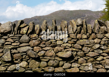 Détail d'un mur en pierre sèche dans le Lake District. Banque D'Images